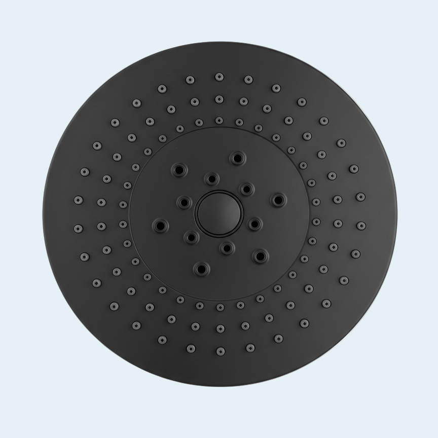 The Filtered Shower Head 1.0